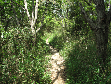 20140602hike (67)